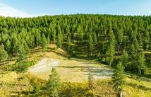 Black Lake Road, Eureka