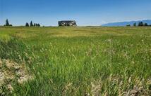 1495 Whalebone Drive, Kalispell