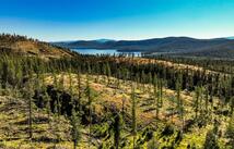 Griffin Creek Road, Marion