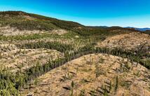 Griffin Creek Road, Marion