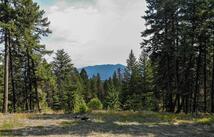 202 Grizzly Gulch Road, Fortine