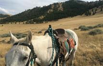 Nhn Wilks Gulch Road, Hot Springs