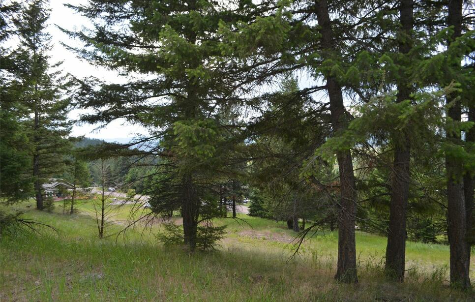 197 Walking Coyote Drive, Kalispell