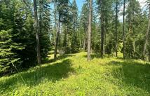 Lot 2 The Crossings At Bachelor Grade, Kalispell