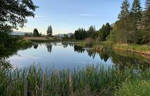 1335 Mooring Road, Columbia Falls