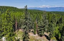 419 Meadow Creek Trail, Fortine