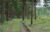 Dayton Creek Road, Dayton