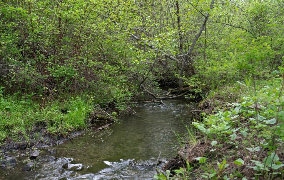 Dayton Creek Road, Dayton