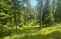 Lot 2 The Crossings At Bachelor Grade, Kalispell