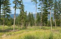 1068 Larch Ridge Trail, Columbia Falls