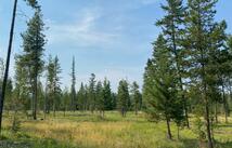 1068 Larch Ridge Trail, Columbia Falls