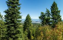 Lone Elk Trail, Kila