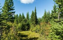 Lone Elk Trail, Kila