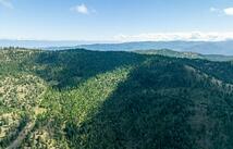 Lone Elk Trail, Kila