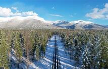 Nhn Snowy Owl Lane, Bigfork