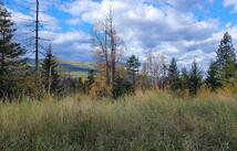 Nhn Swan Lake Overlook, Bigfork