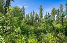 643 Saddlehorn Trail, Bigfork