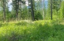 Lot 9 The Crossings At Bachelor Grade, Kalispell