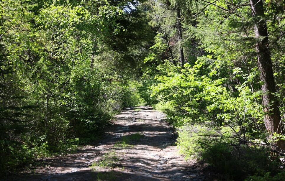 Nhn Patrick Creek Road, Kalispell