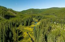 Logan Creek Road, Kila