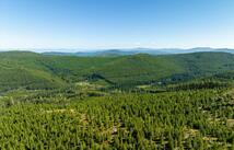 Logan Creek Road, Kila