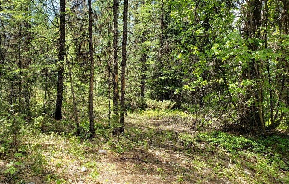 Butcher Creek Road, Trego