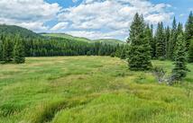 Nhn Mountain Meadow Road, Kalispell