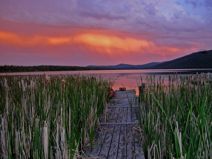 Lake Mary Ronan