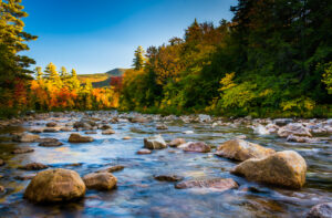 Where to see fall colors in Montana